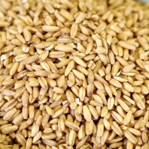 GP5 - Bulk Oat Groats Gluten Free 15 LB