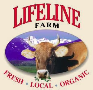 LF4 - Cheddar Sharp (O) 5 LB Block- PRICE PER POUND