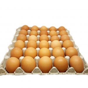 MH1 - Large Pasture Raised Brown (O) Bulk Tray