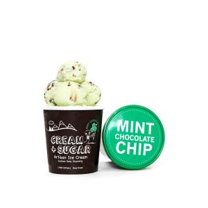 CS2 - Mint Chocolate Chip Ice Cream Pint
