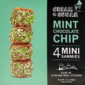 CS1 - Mint Chocolate Chip Ice Cream Sandwich